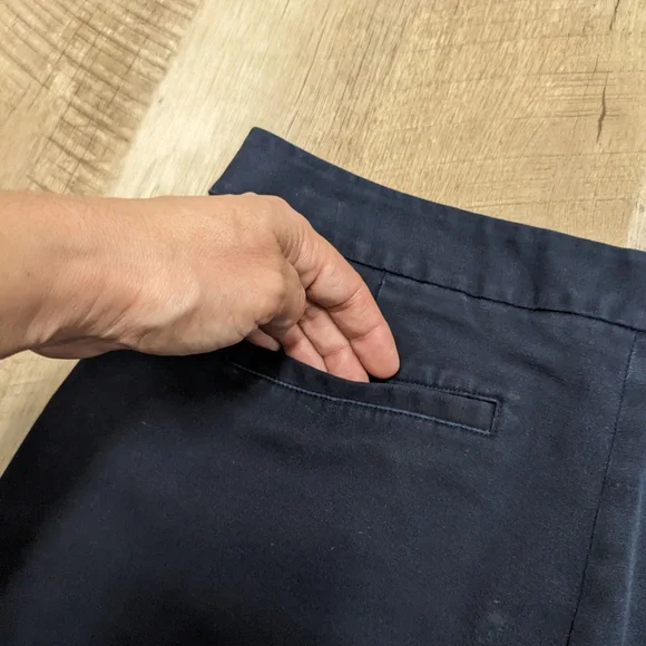 Karl Lagerfeld Paris Navy Blue Dress Pants Cropped